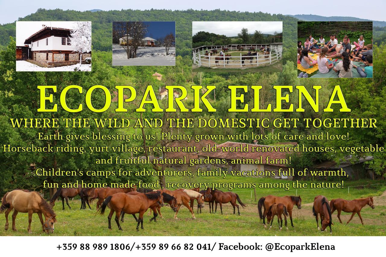 Hotel Ecopark Elena Exterior foto