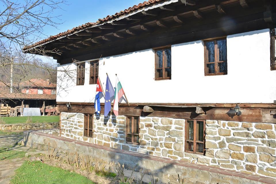 Hotel Ecopark Elena Exterior foto